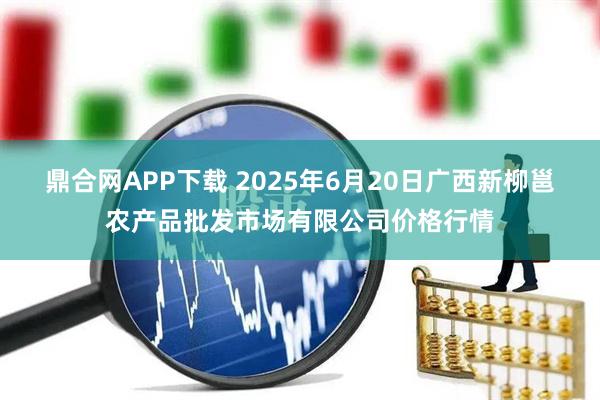 鼎合网APP下载 2025年6月20日广西新柳邕农产品批发市场有限公司价格行情