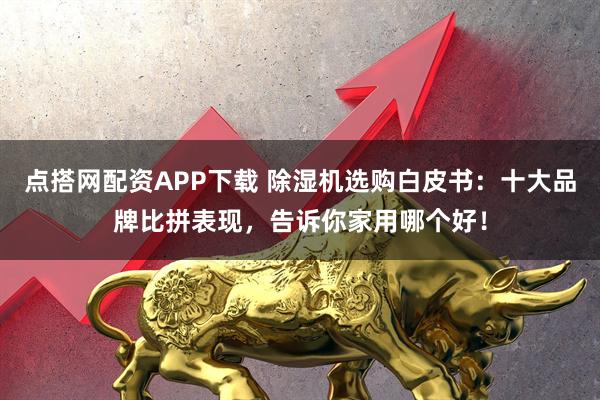 点搭网配资APP下载 除湿机选购白皮书：十大品牌比拼表现，告诉你家用哪个好！
